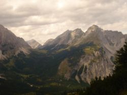2013-09-08_6Falkenh-Steinfalk (043).JPG